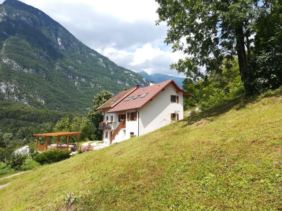 Apartma Ana Ida Srpenica ภายนอก รูปภาพ